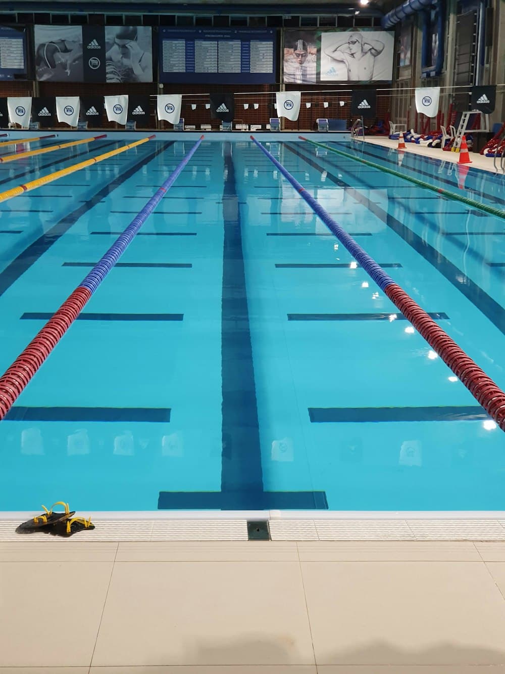 Pool maintenance and cleaning service